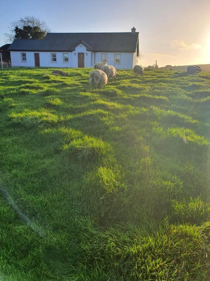 Claragh Cottage Cavan Exterior photo